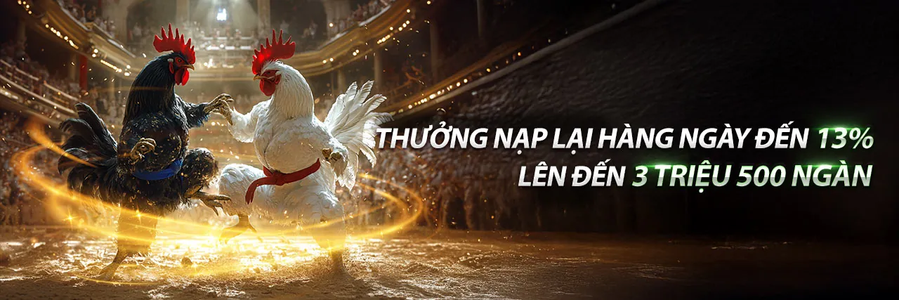 Hình ảnh giới thiệu oke88 trang chủ chính thức